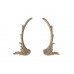 Декор Gaudi Decor AW 6074 LR купити в Одесі